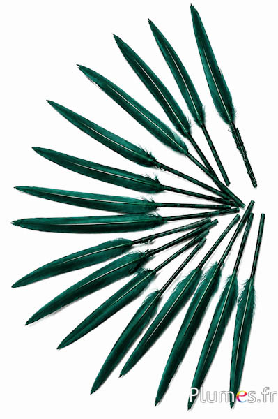 Gans - 5-8 cm - donkergroen